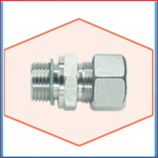 Compression fitting coupling M20x3 / 4 "BSP 20mm SS PN400