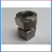 Compression female connector 20x3 / 4 "BSP SS