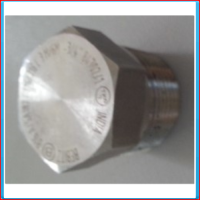 Plug 3/4 "BSP SS