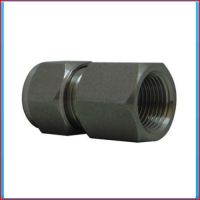Compression 3/8 "female NPT connector for 12 mm tube SS