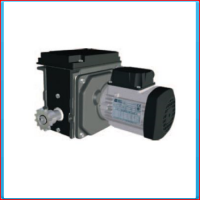 Motor gearbox RW45-2-09400-450397