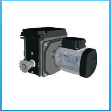 Motor gearbox RW45-2-09400-450397