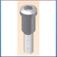 Flange bolt M6x27BZK gvz