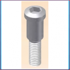 Flange bolt M6x27BZK gvz