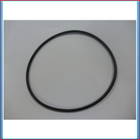 O-ring pumphouse CL / CLB / CB / CBH, [0.2173.006], CL40-200, CL50-200, CL65-200, CL80-200, CL100-200, CL125-160, CL125-200, CL150-160, CL150-200 | CLB150-160, CLB150-200, CLB200-160 | CB200-160 | CBH150-200