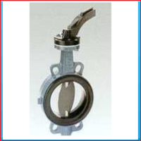Butterfly valve Z011 DN 80