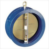 Duo check valve DN80
