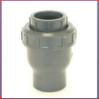 Non-return valve 50mm springloaded Non-return valve 50mm springloaded