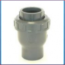Non-return valve 50mm springloaded