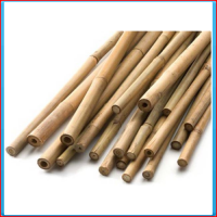 Bamboo canes 090cm - 10/12 (1000pcs)